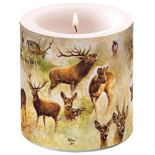 A1079-1uFfNq3zM04jJ3