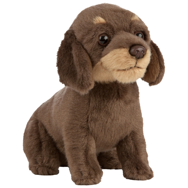 Plüschtier Rauhaardackel Welpe