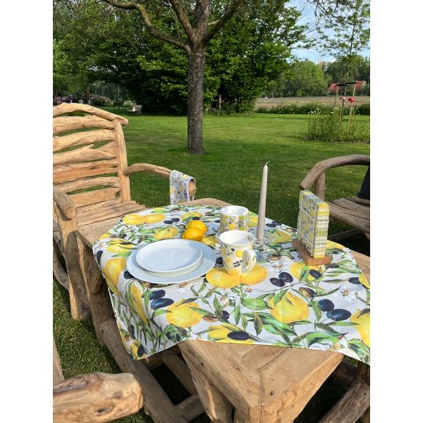 Artikelreihe_Zitrone_Olive-1AGmkgtmYzJRX3