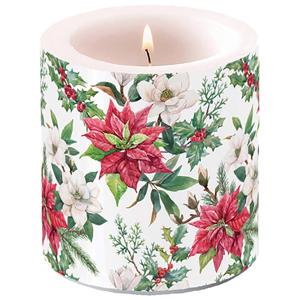 A1097-1snN77KUJRn7K6