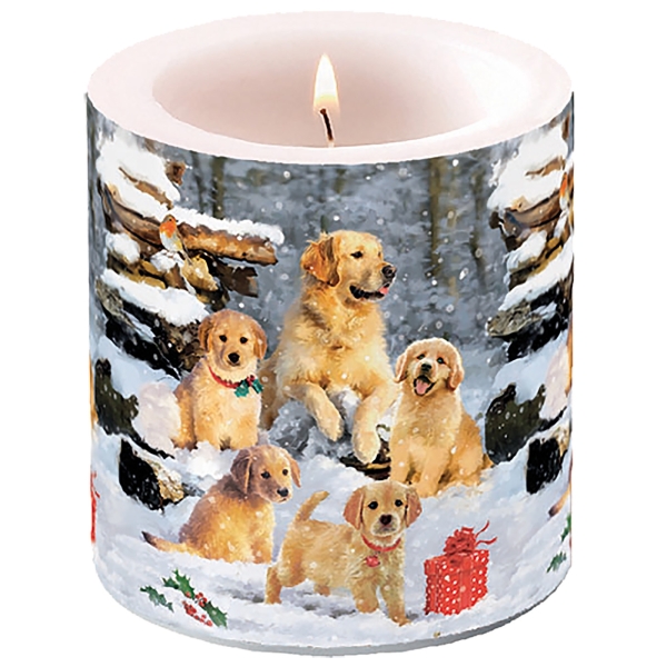 A1088-1mSMh8nKLrIjlr