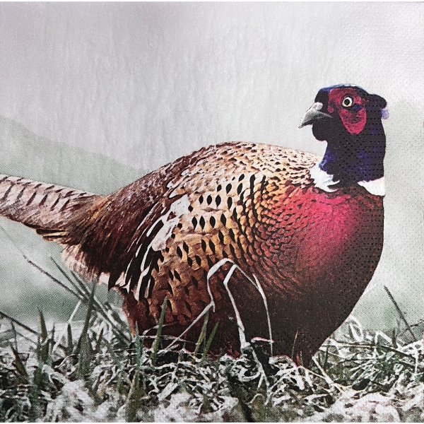 E1002-12Arr4FQ3Y5g6r